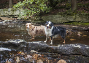 Hikes Near NYC