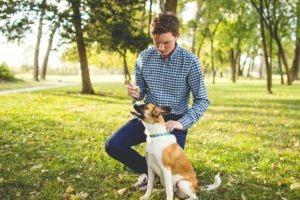 Dog Training Facts