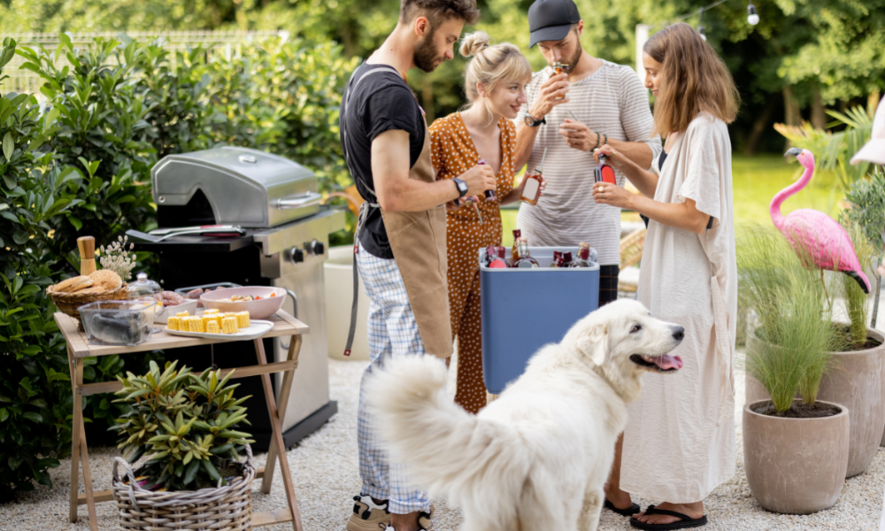 Summer Barbecue Safety Tips for Dog Owners