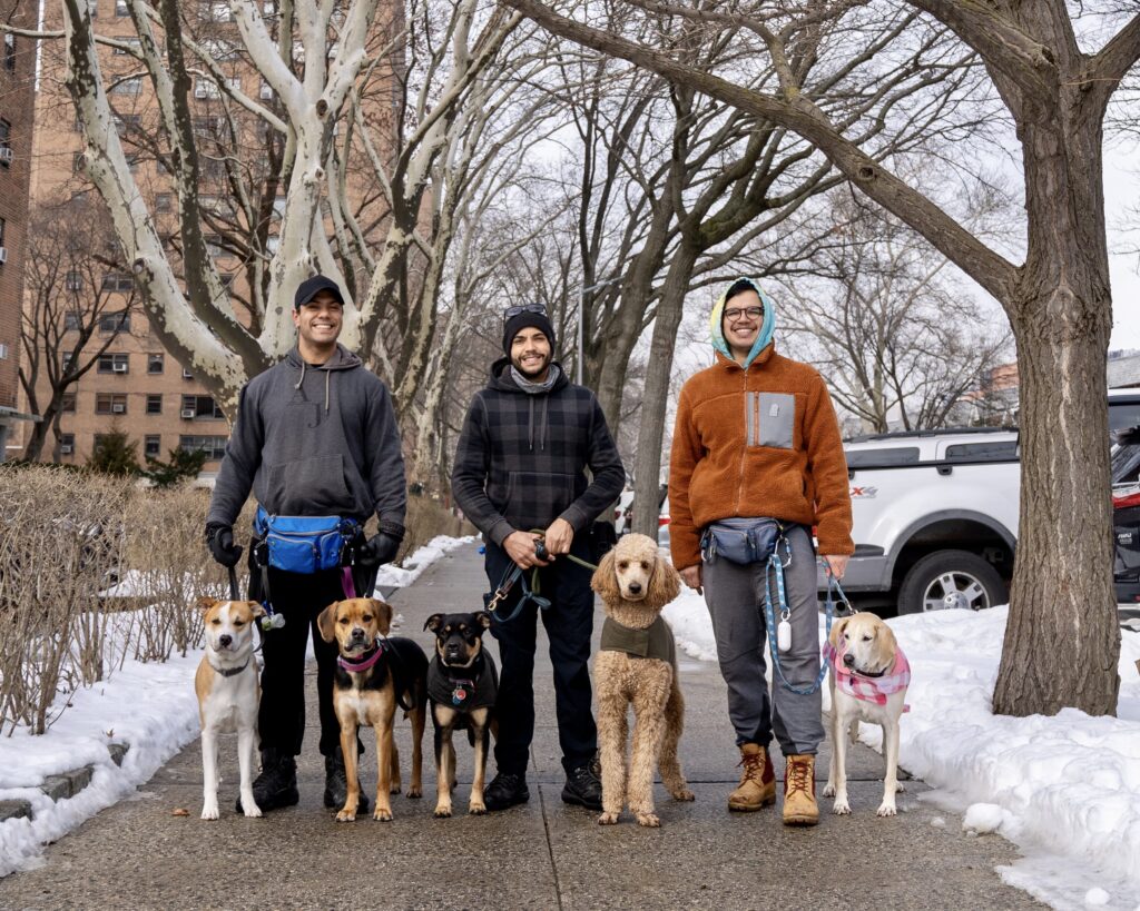 5 ways to keep your dog warm and safe this winter B&W Dog Walker
