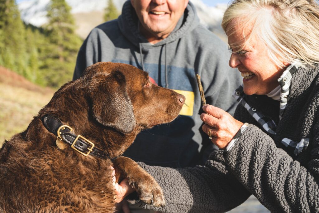 how do i help my fearful dog walk